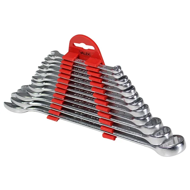 valex-set-di-12-chiavi-combinate-6-22mm-in-acciaio-satinato-con-supporto-teste-i image 1