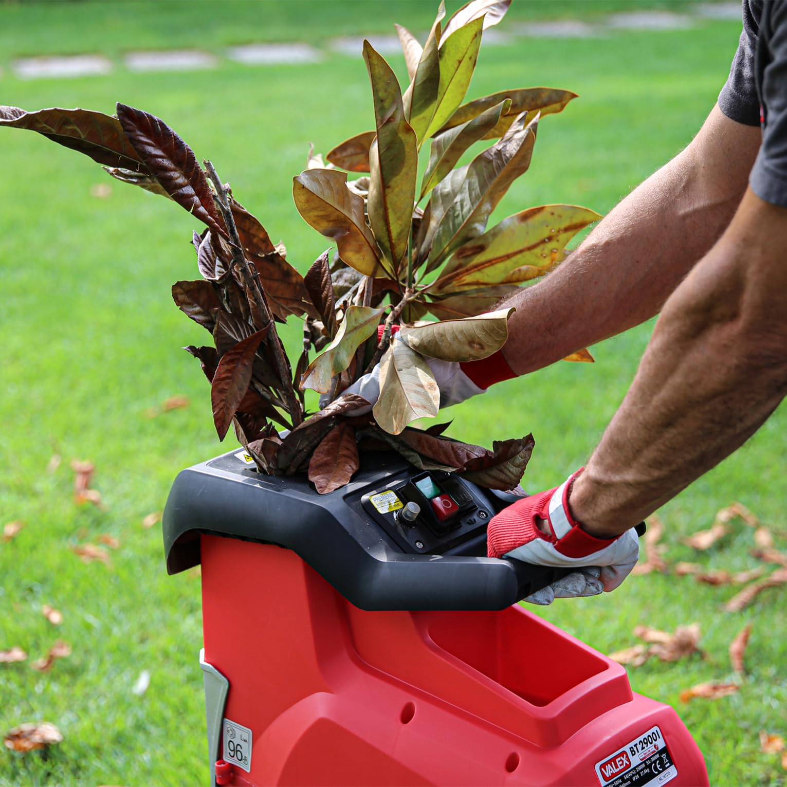 valex-biotrituratore-bt2900i-silenzioso-a-rullo-2500w-taglio-40-mm-cesto-50-litr image 3
