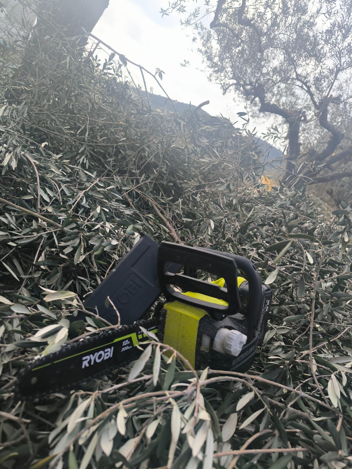 Leggera e potentissima