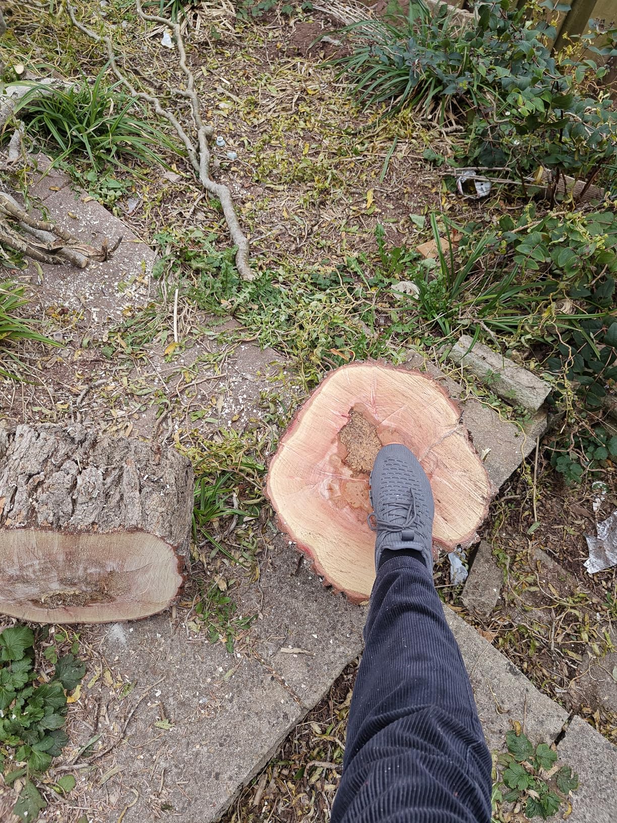 Ottima per la manutenzione del giardino